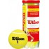 Wilson tennis balls CHAMPIONSHIP EXTRA DUTY 3 pcs